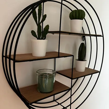 Lenta Terrazza Garbatella Roma