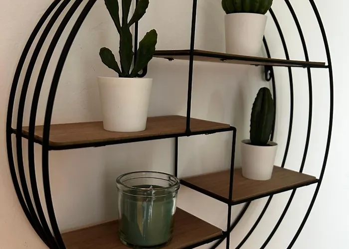 Lenta Terrazza Garbatella Roma