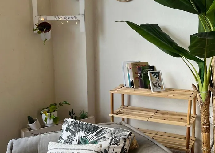 Lenta Terrazza Garbatella Roma